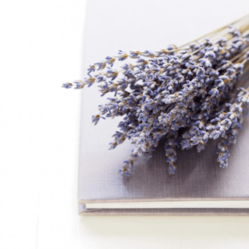 Dried Purple Lavender Bouquet - Velora Luxury Fashion