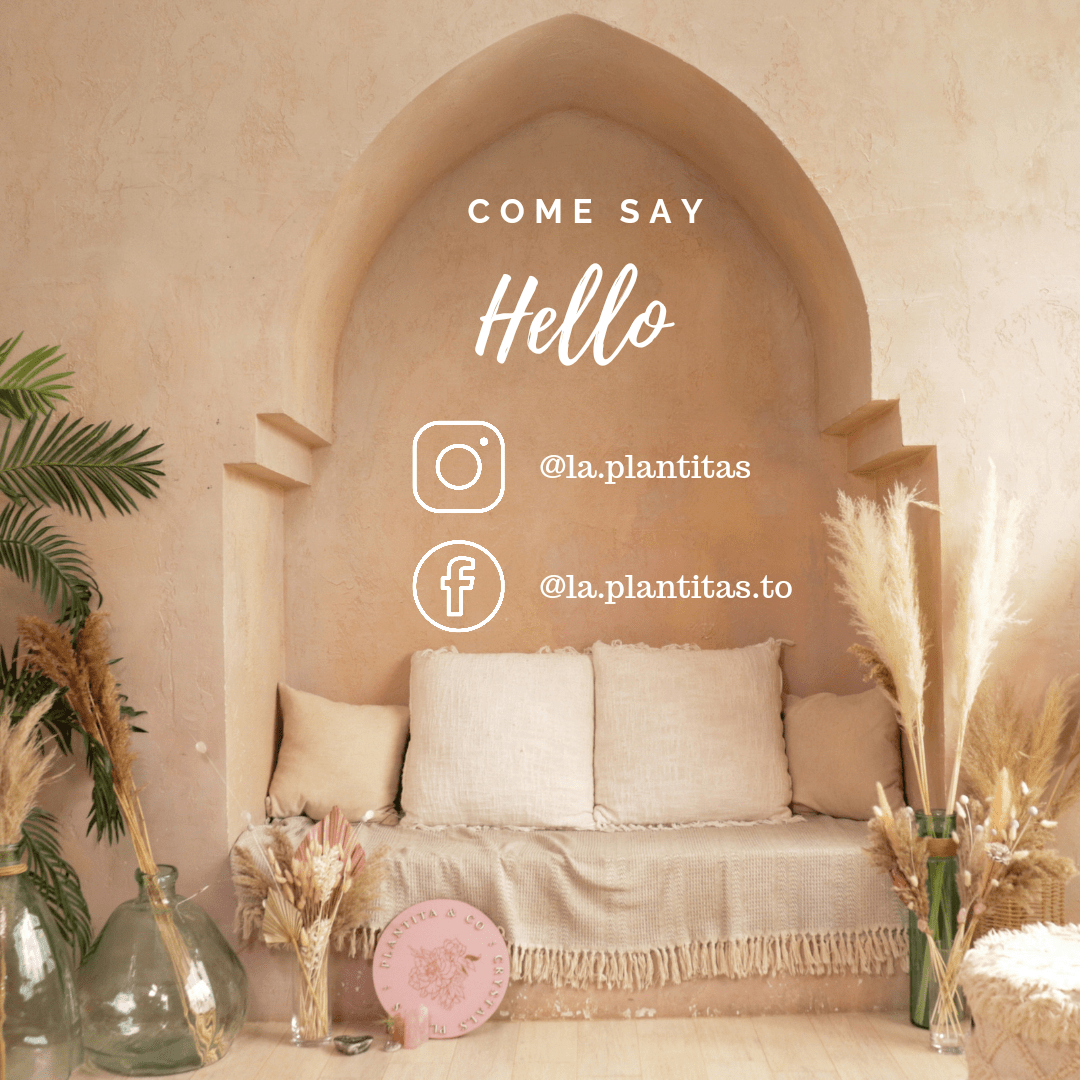 Dried Purple Lavender Bouquet - Velora Luxury Fashion