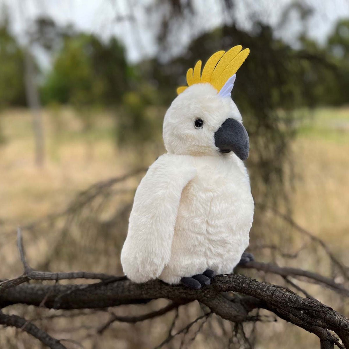 Cockatoo - Velora Luxury Fashion