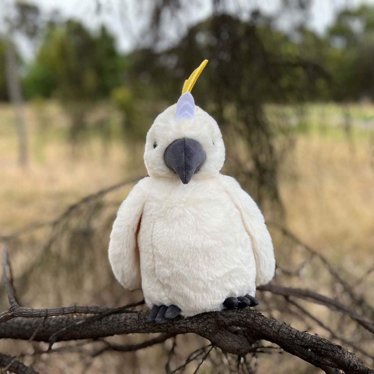 Cockatoo - Velora Luxury Fashion