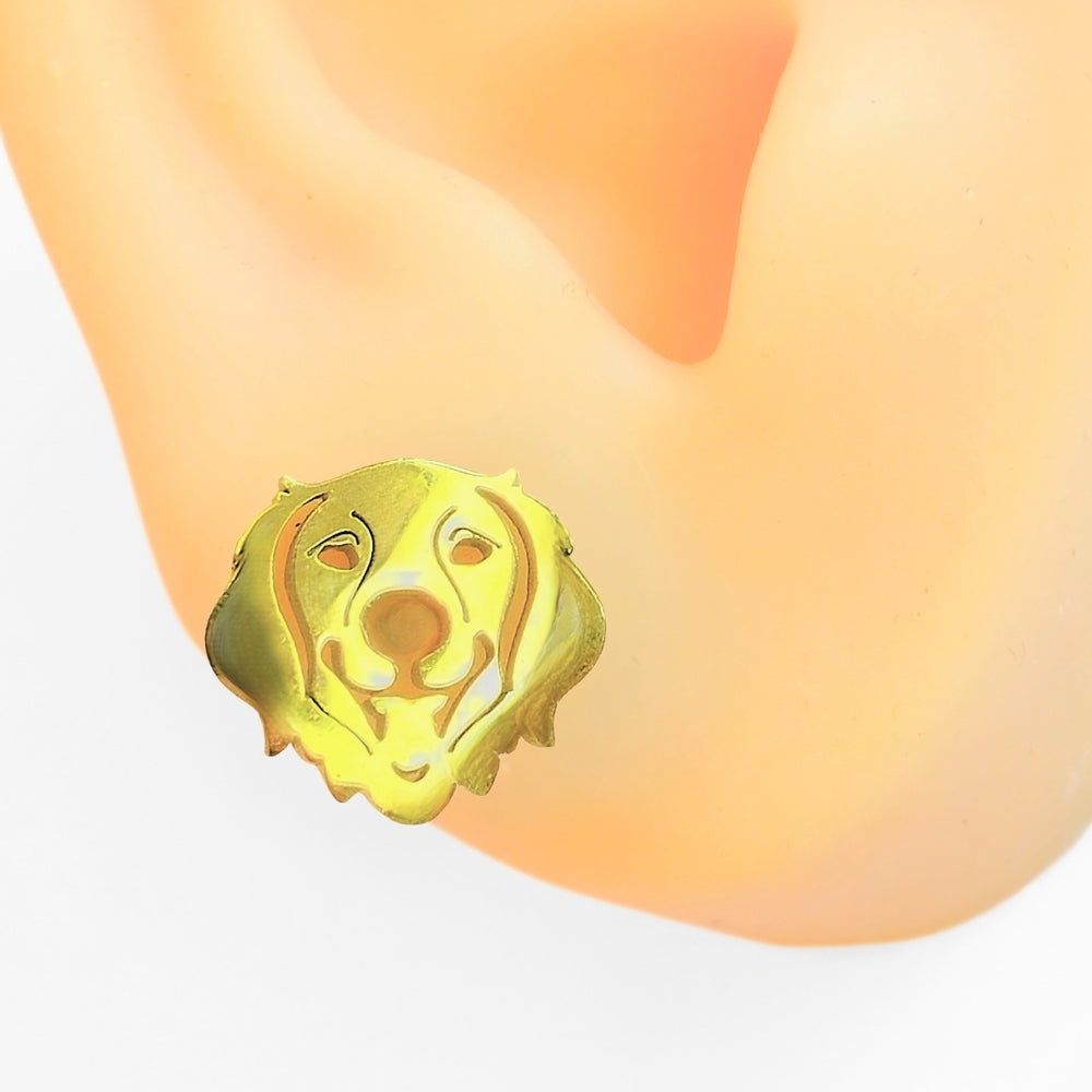 Golden Retriever Studs - Velora