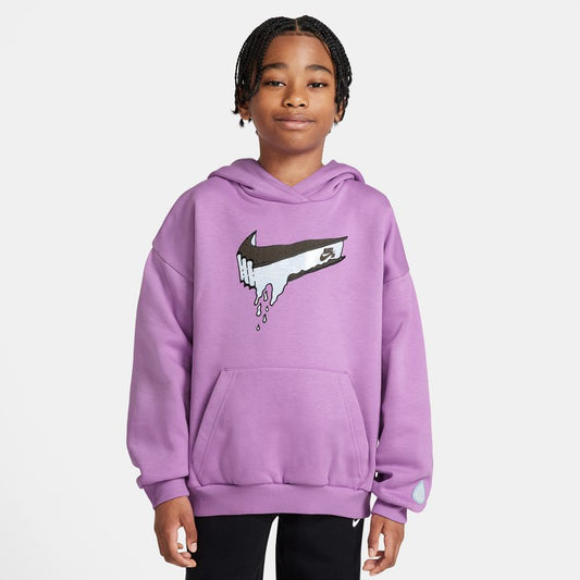 Y Nike SB EasyOn HF8801-532 - Velora