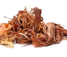 Javentari Whole - Velora