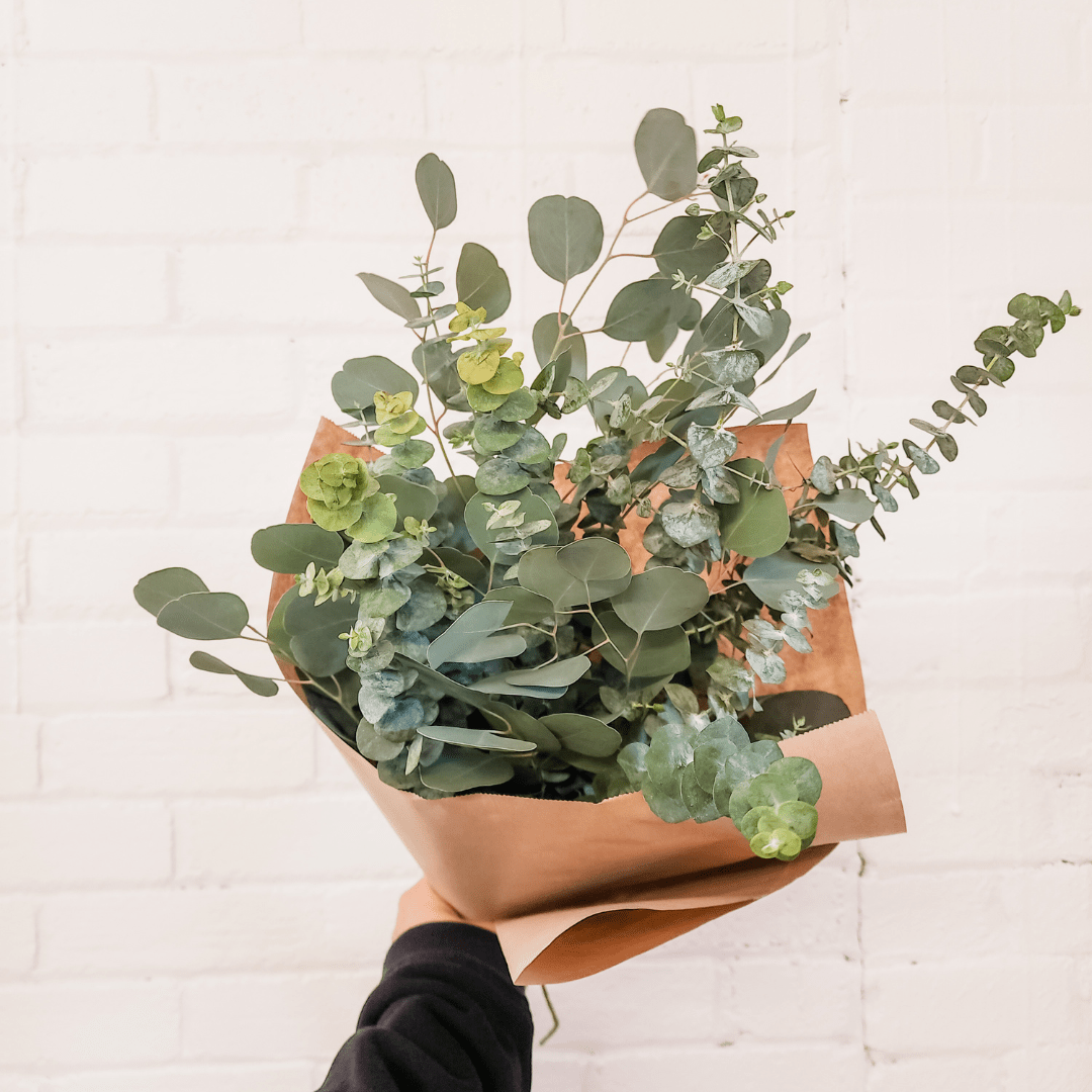 Mixed Eucalyptus Bundle - Velora Luxury Fashion