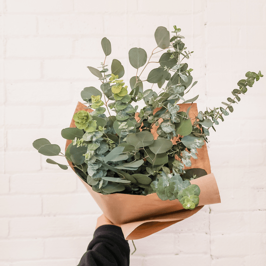 Mixed Eucalyptus Bundle - Velora Luxury Fashion