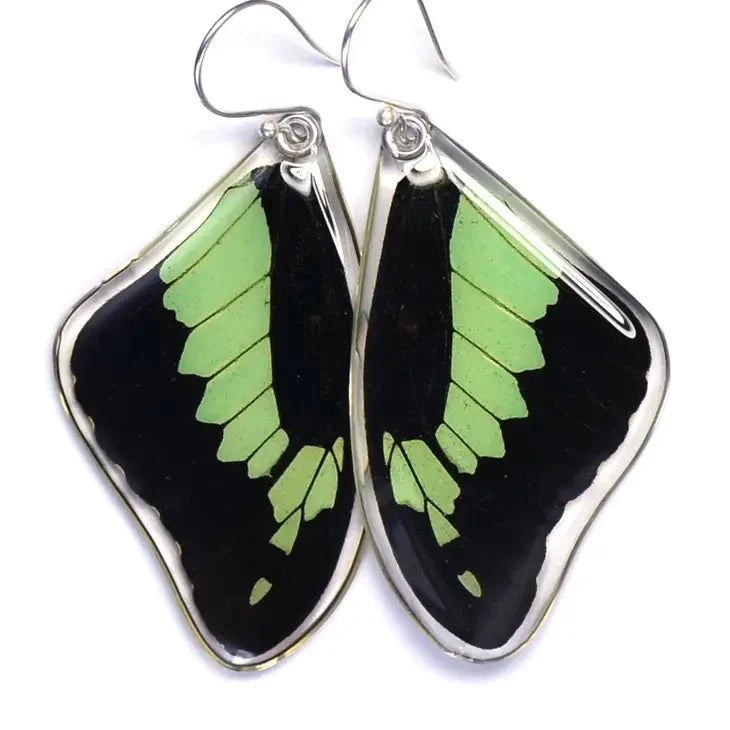 Papilio phorcas Stirling Silver Earrings - Velora Luxury Fashion