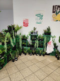 Plant Bar - Velora Luxury Fashion
