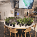 Plant Bar - Velora Luxury Fashion