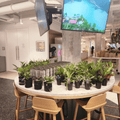 Plant Bar - Velora Luxury Fashion