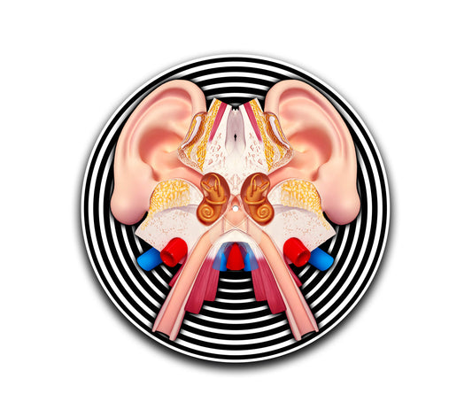Auditory System Slipmat