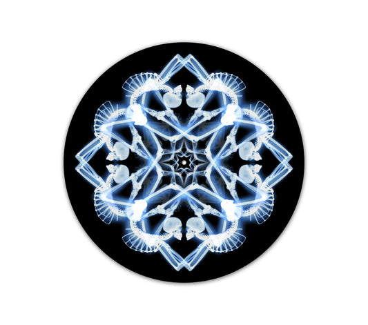 Skeleton Dance Slipmat