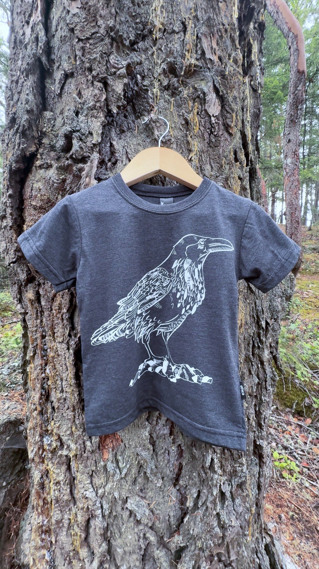 LITTLE RAVEN - Kids Eco Tee - Charcoal