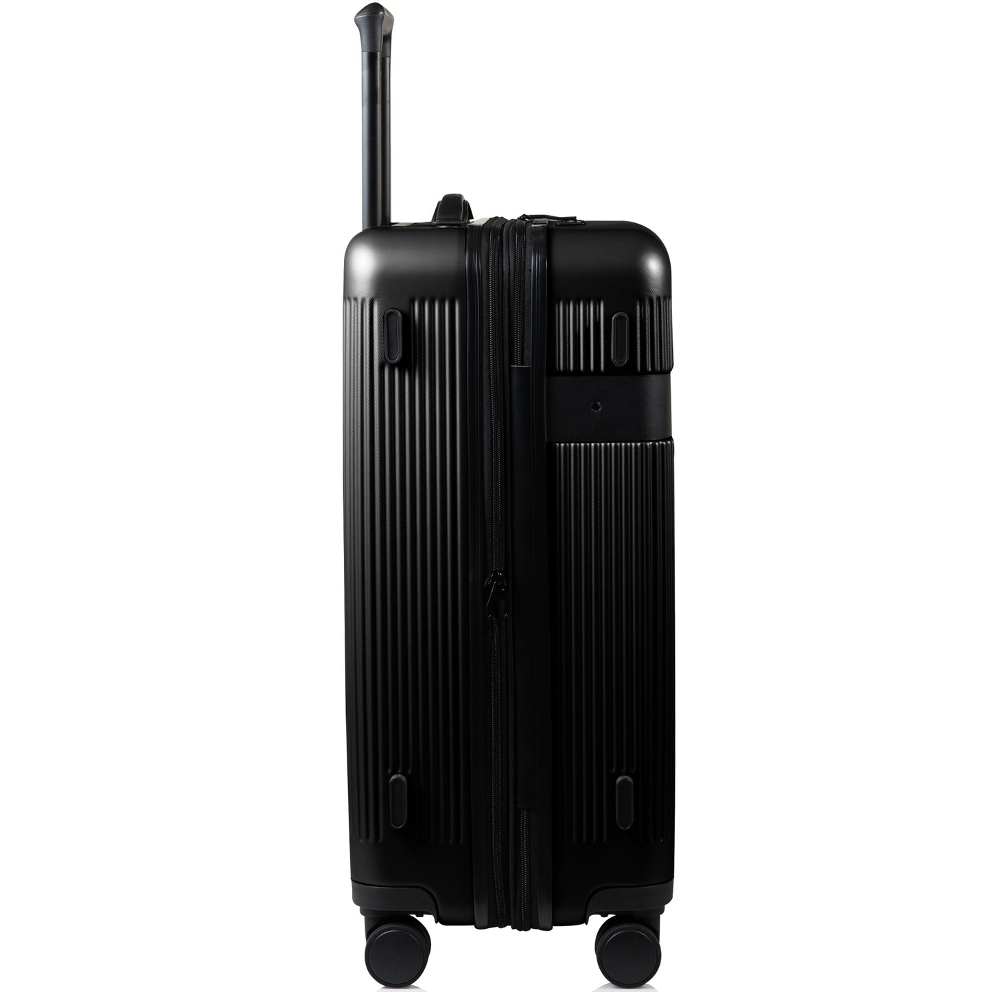Onyx II / Large