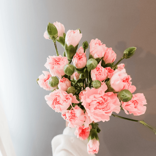 Spray Carnations Pink - Velora Luxury Fashion