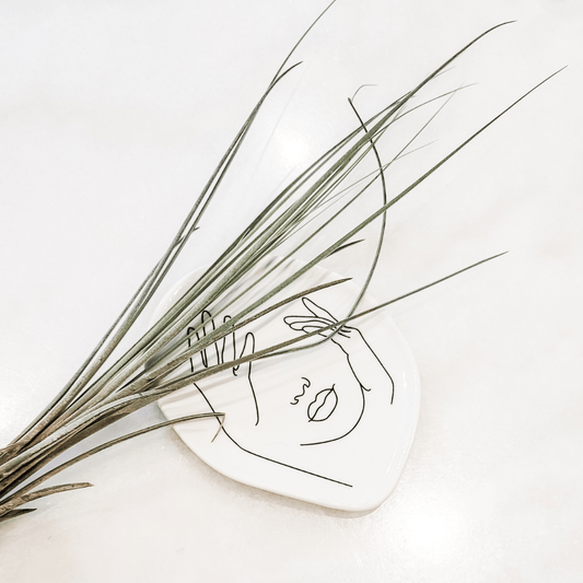 Tillandsia Juncea Air Plant XL - Velora Luxury Fashion