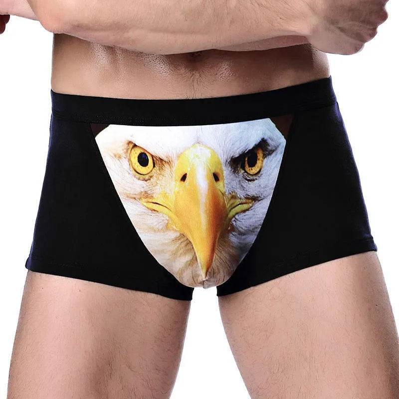 Printed Wolf Head Big Bird Men's Boxer Briefs Underwear - Velora