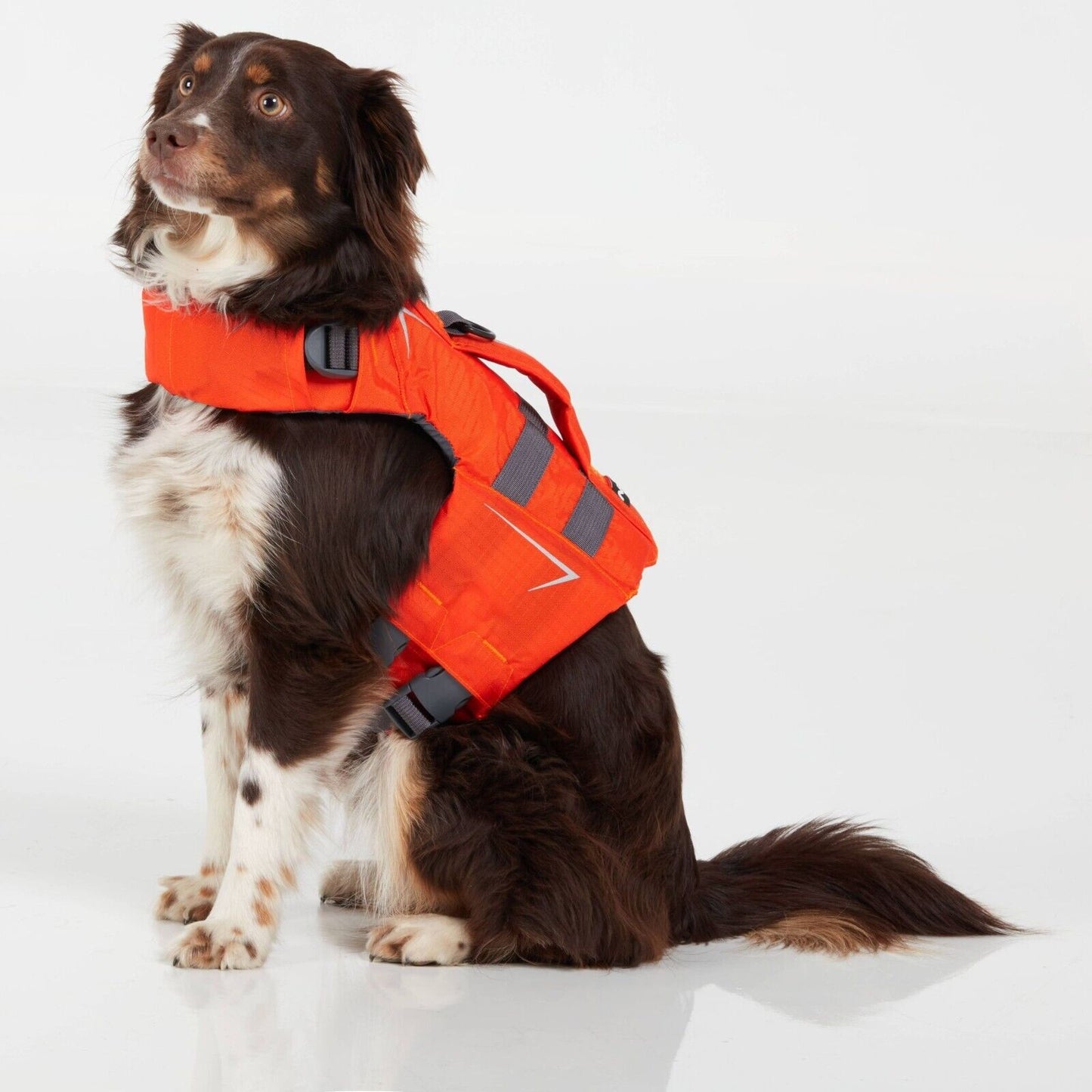 NRS CFD Dog Life Jackets - Velora