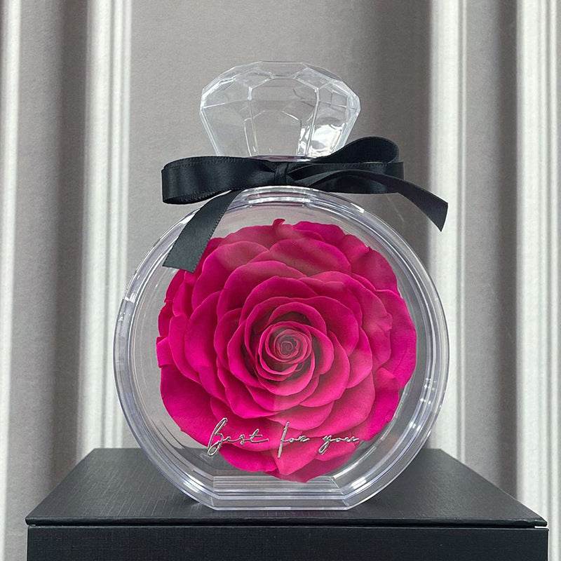 Natural Eternal Flower Ornaments Transparent Cover Dried Rose Gift Box For Christmas New Year Valentine's Day Home Decor - Velora