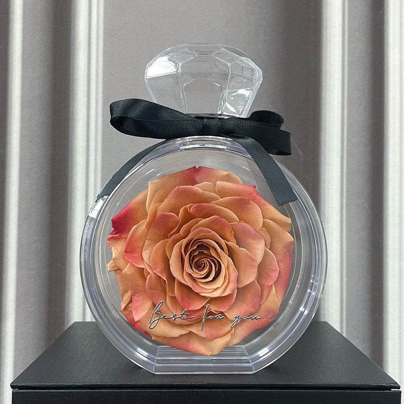 Natural Eternal Flower Ornaments Transparent Cover Dried Rose Gift Box For Christmas New Year Valentine's Day Home Decor - Velora