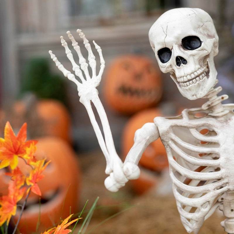 Halloween Movable Joint Skeleton Plastic Model 90cm Party Outdoor Decoration Props - Velora