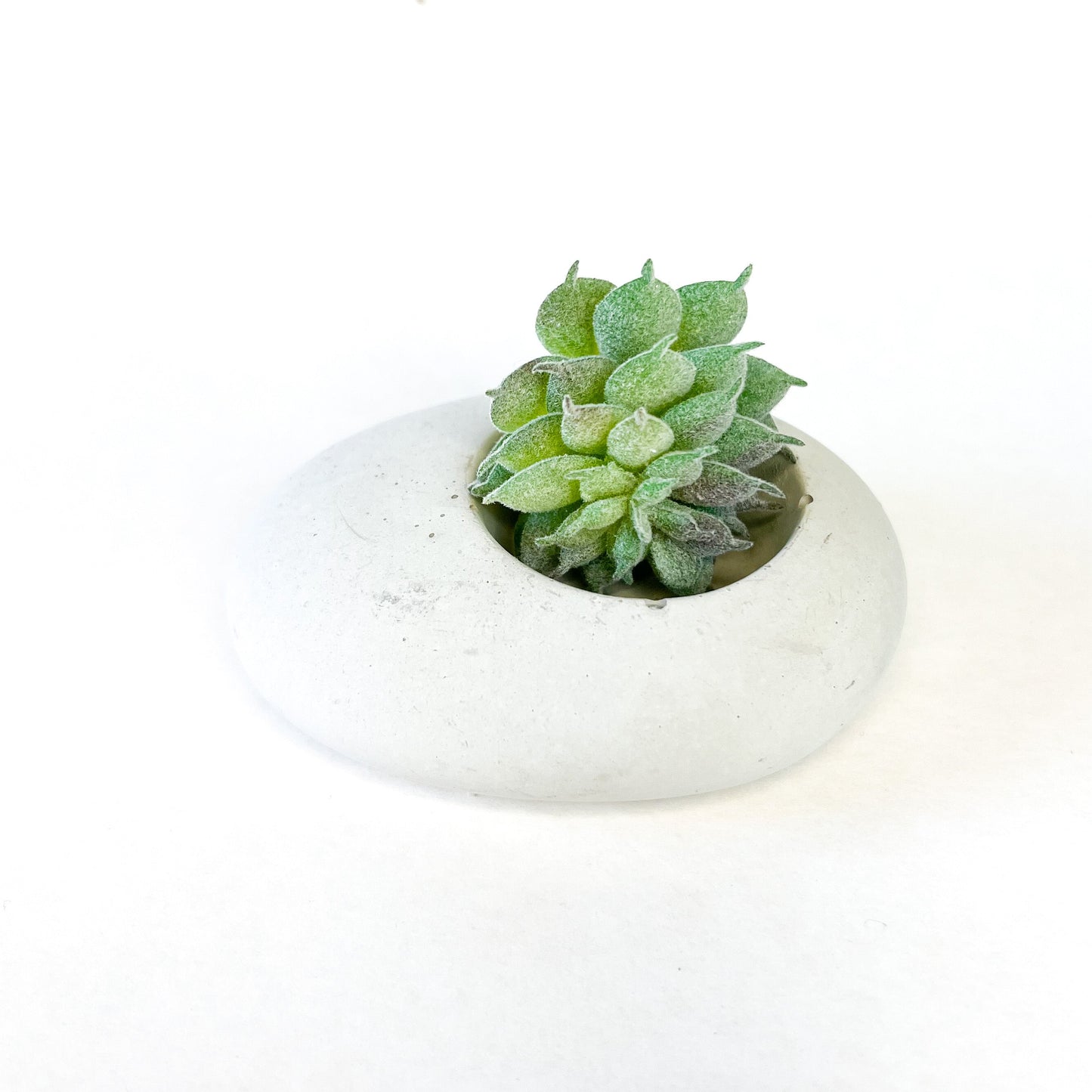 Concrete Pebble Planter - Velora Luxury Fashion