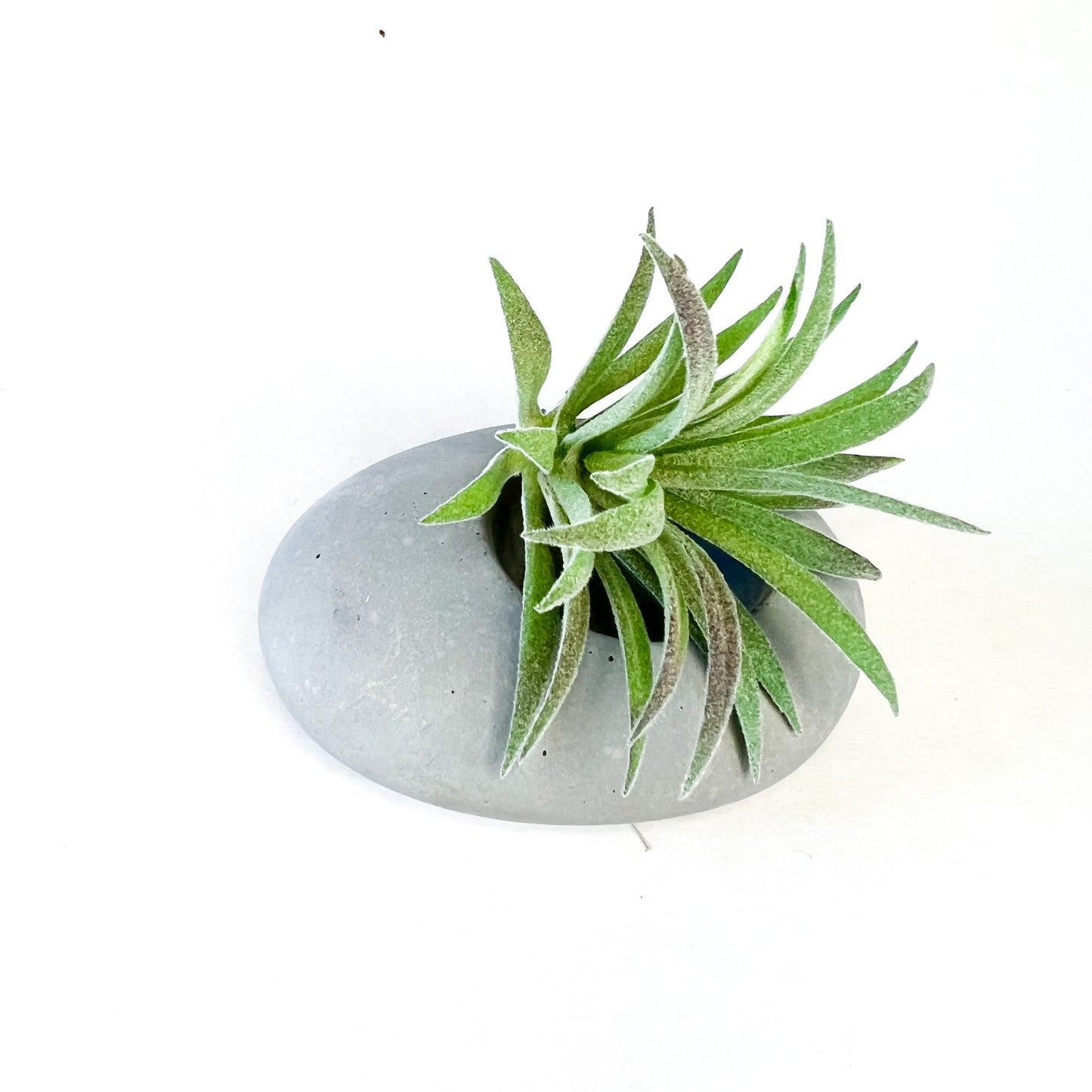 Concrete Pebble Planter - Velora Luxury Fashion