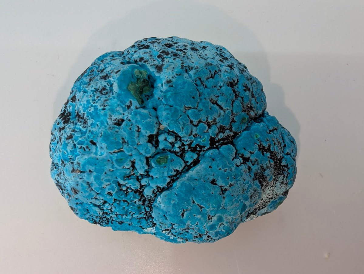 Congo Chrysocolla with Malachite – Botryoidal Specimen with Natural Base (363g)