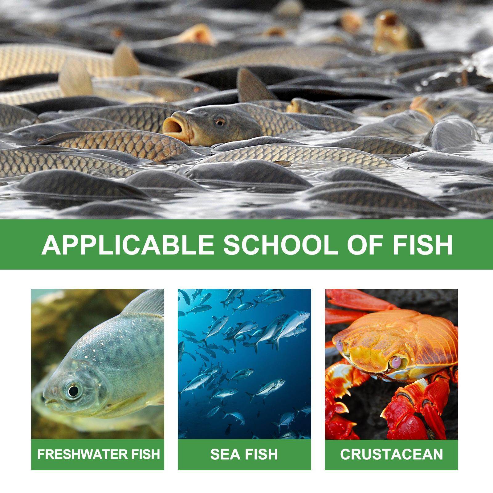 Igbang Wild Fishing Bait Small Medicine Fish Attractant - Velora