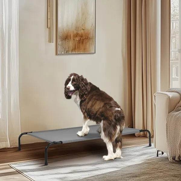 50D X 31W X 8H Dog Bed - Velora