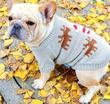 Christmas pet dog sweater - Velora