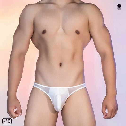 See-through Thin Transparent Silky Men's Low Waist Briefs