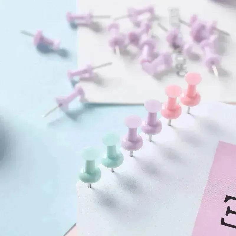 Macaron Color Boxed Push Pin Simple Creative Large Small Size Plastic Pushpin Office Supplies - Velora