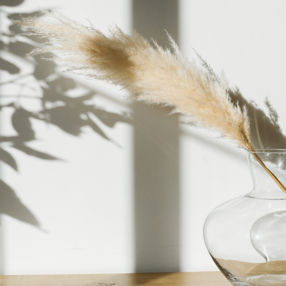 Pampas Grass Cream - 3 Stems - Velora Luxury Fashion