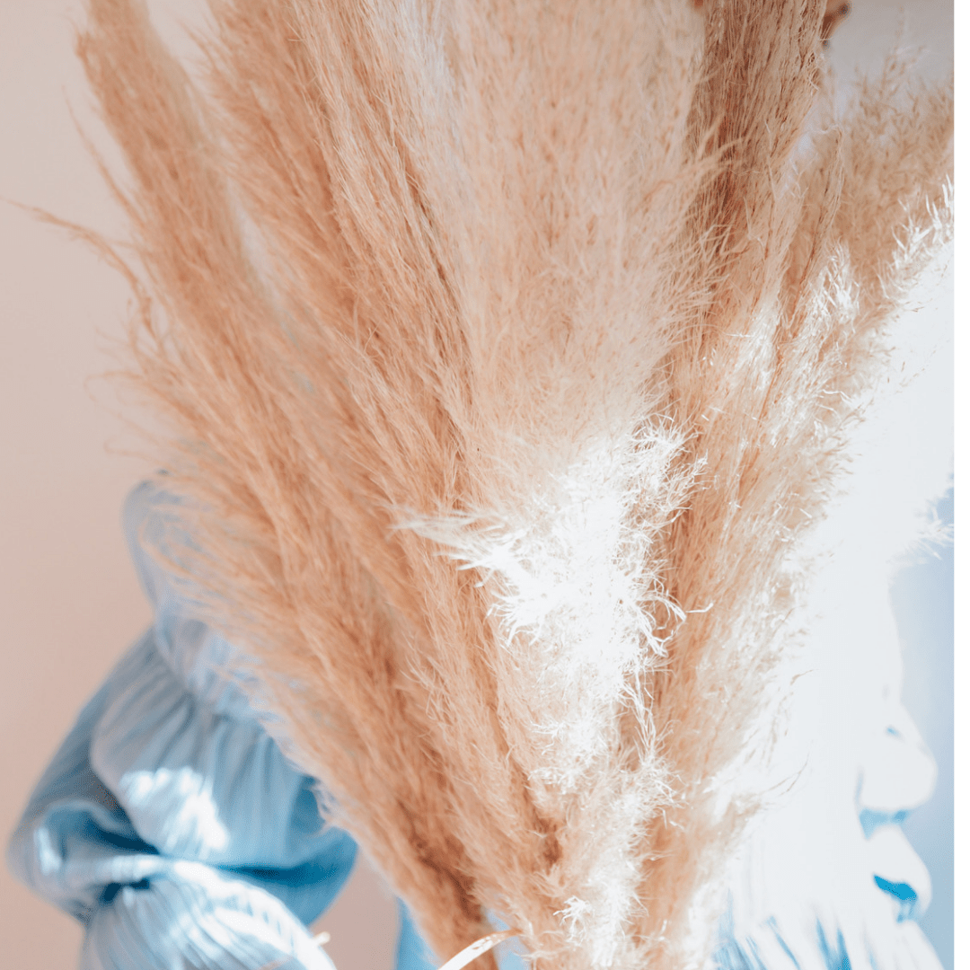 Pampas Grass Cream - 3 Stems - Velora Luxury Fashion