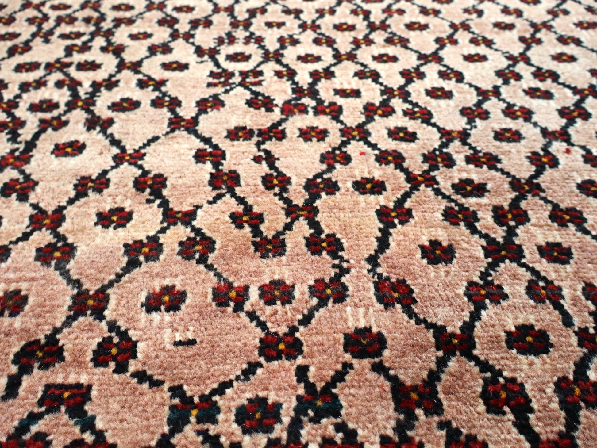 Persian Koliai Rug | 5' 2" x 9' 4" - Velora