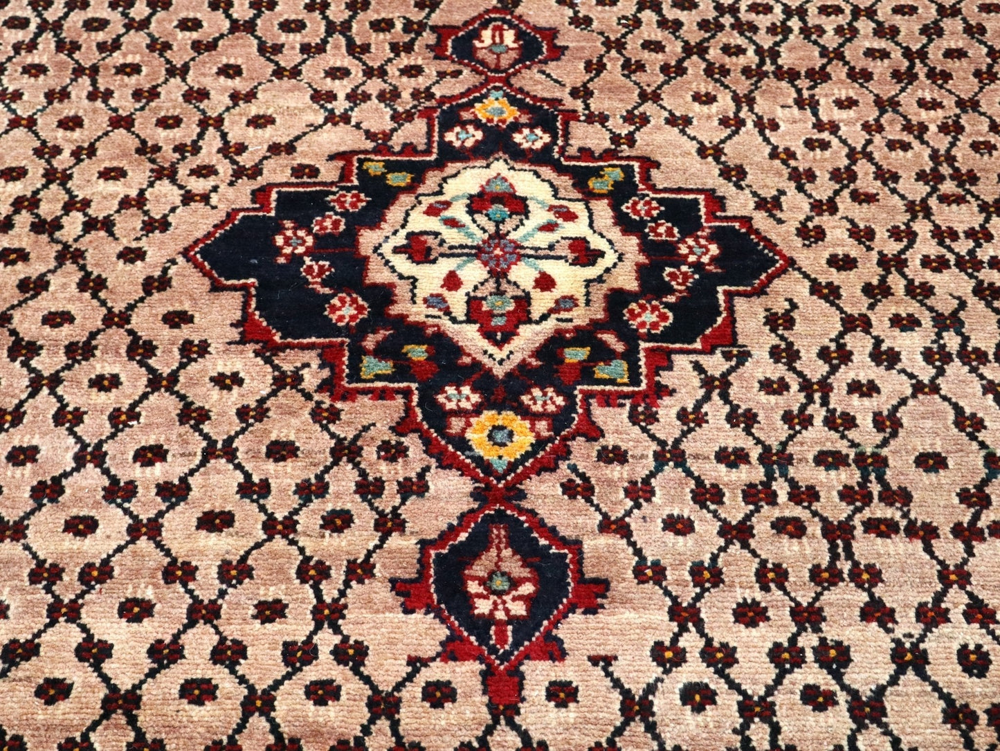 Persian Koliai Rug | 5' 2" x 9' 4" - Velora