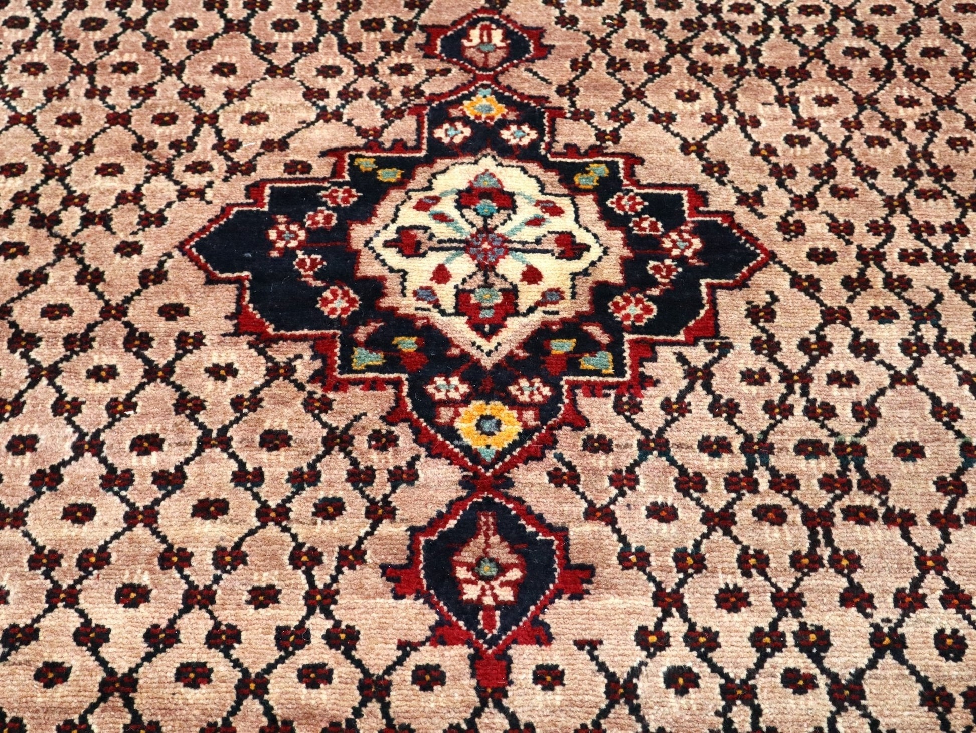 Persian Koliai Rug | 5' 2" x 9' 4" - Velora