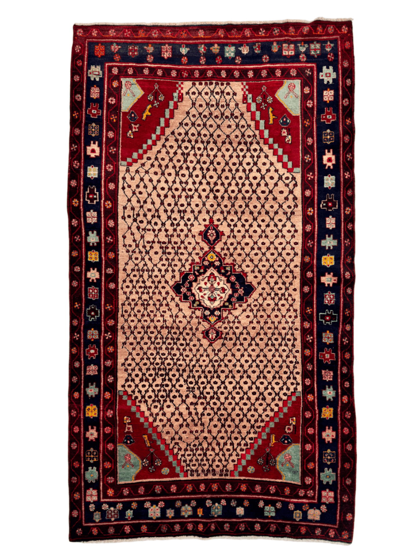 Persian Koliai Rug | 5' 2" x 9' 4" - Velora