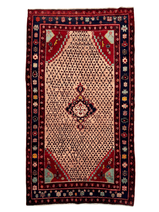 Persian Koliai Rug | 5' 2" x 9' 4" - Velora