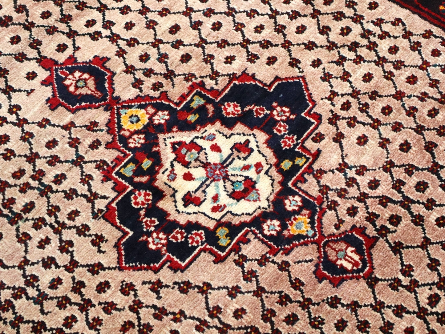 Persian Koliai Rug | 5' 2" x 9' 4" - Velora