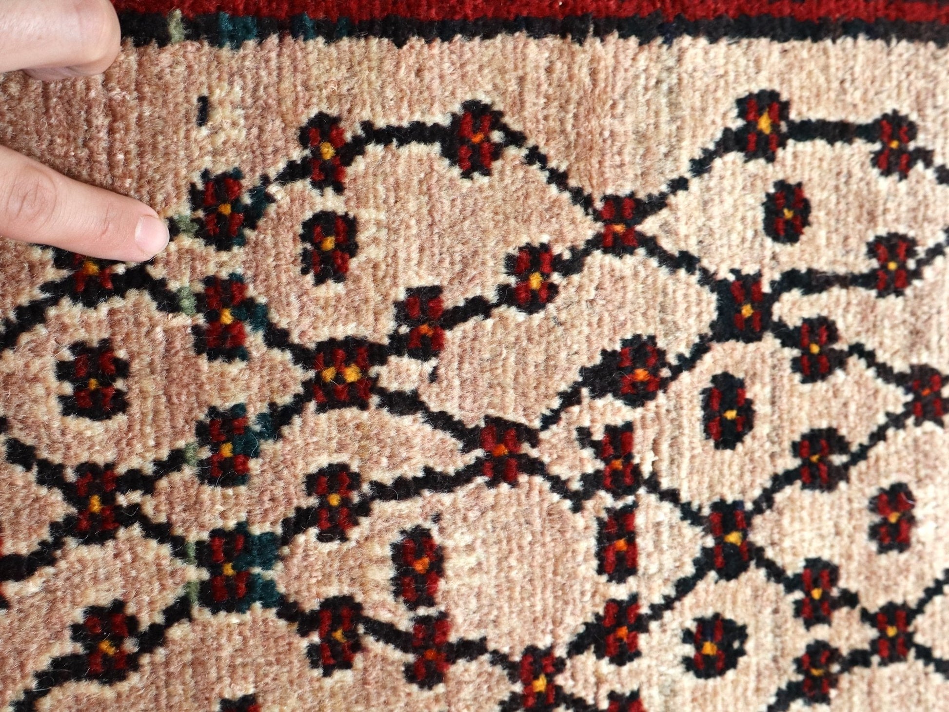 Persian Koliai Rug | 5' 2" x 9' 4" - Velora