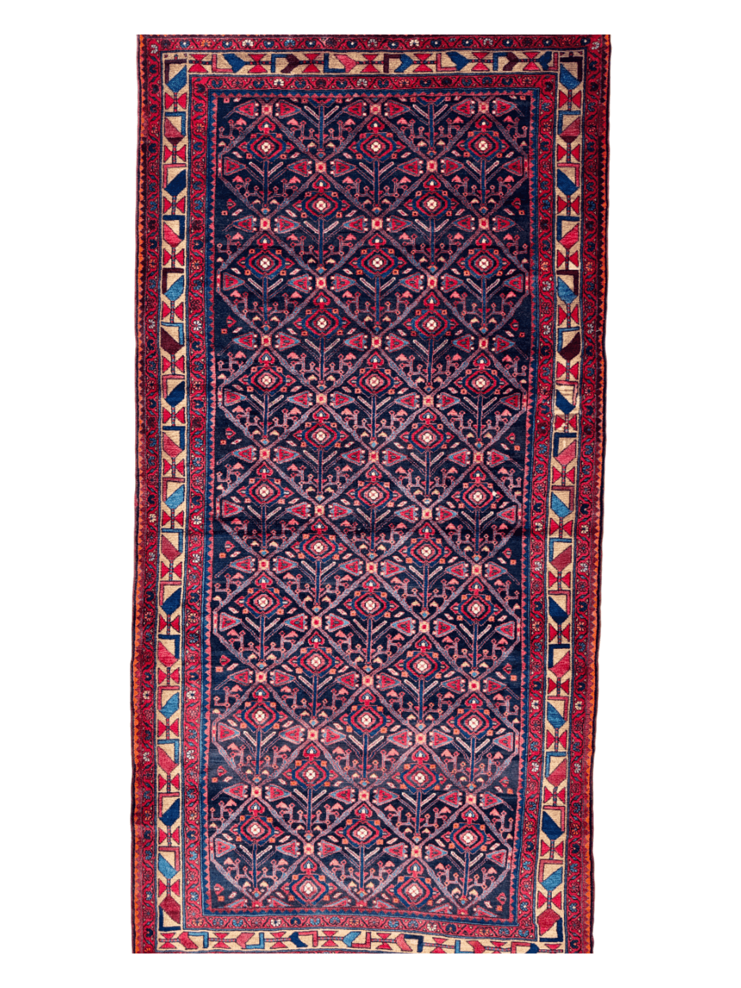 Persian Nahavand Rug | 5' 2" x 10' 8" - Velora