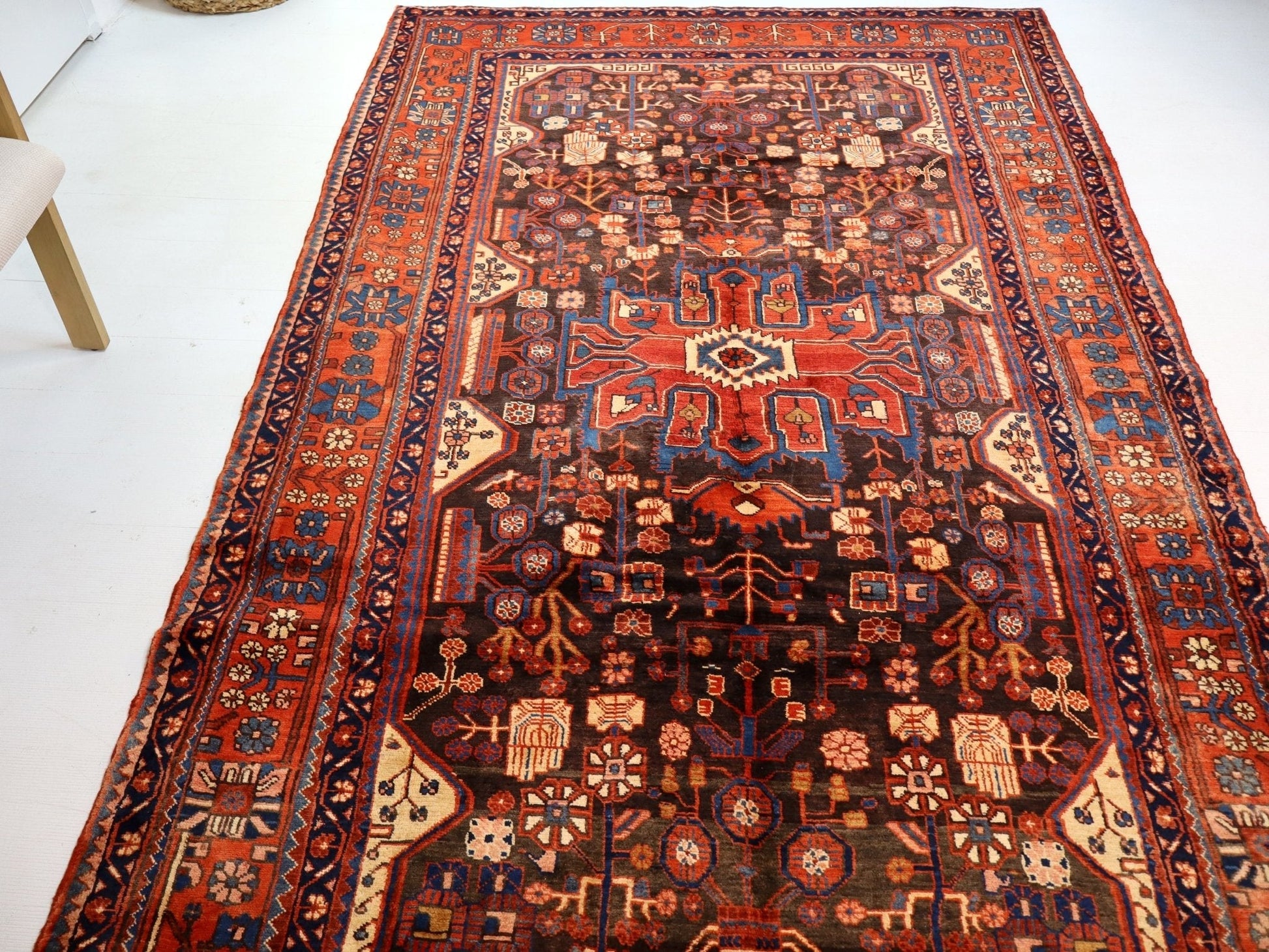 Persian Nahavand Rug | 5' 5” x 9' 7" - Velora