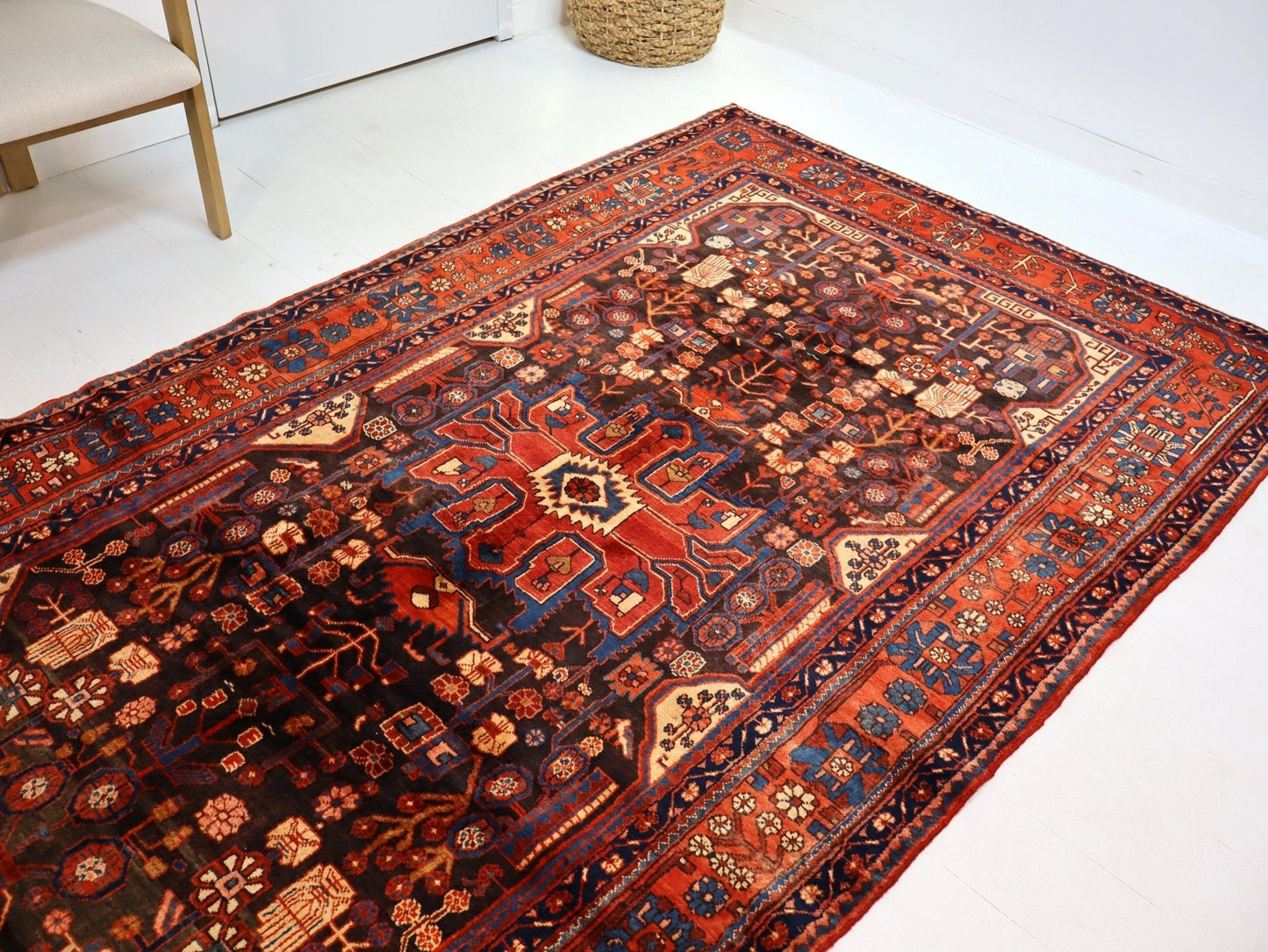 Persian Nahavand Rug | 5' 5” x 9' 7" - Velora