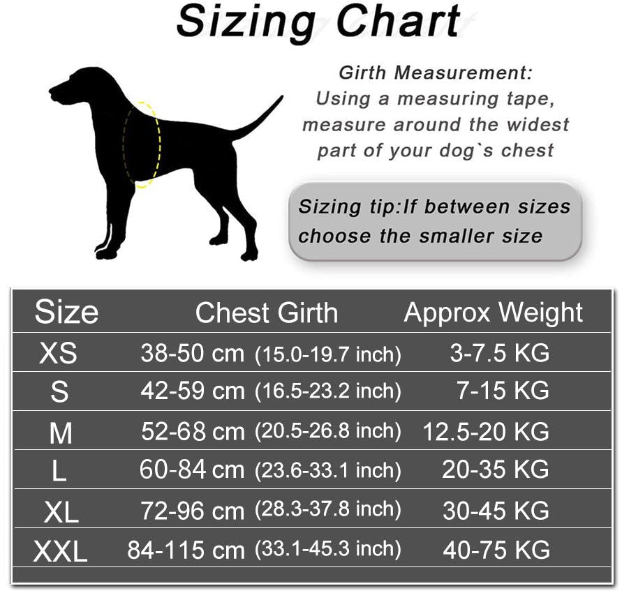 Personalized Dog Harness and Leash with Name and Phone Number - Velora Luxury Fashion