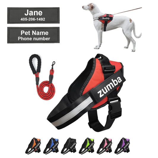 Personalized Dog Harness and Leash with Name and Phone Number - Velora Luxury Fashion