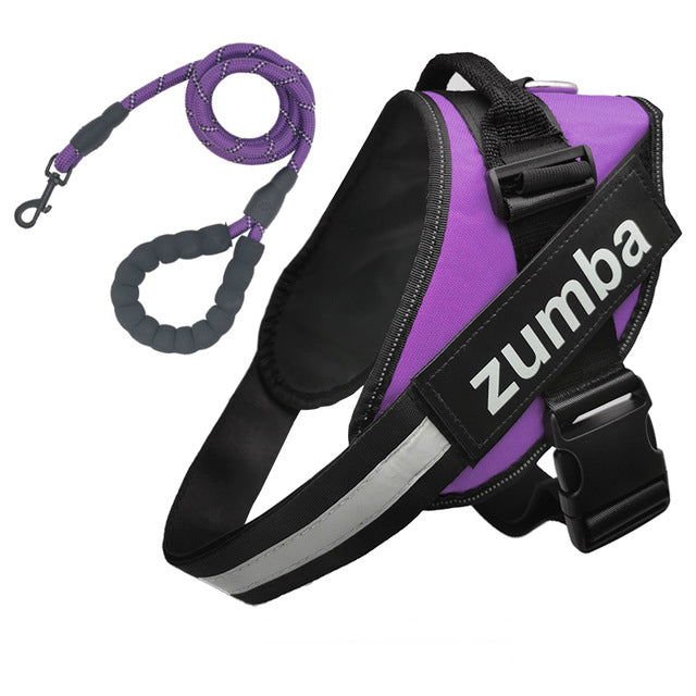 Personalized Dog Harness and Leash with Name and Phone Number - Velora Luxury Fashion