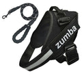 Personalized Dog Harness and Leash with Name and Phone Number - Velora Luxury Fashion