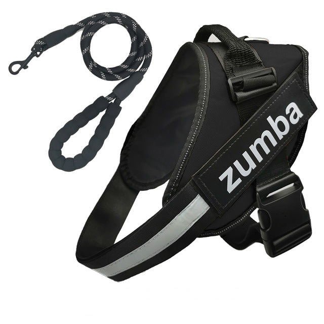 Personalized Dog Harness and Leash with Name and Phone Number - Velora Luxury Fashion