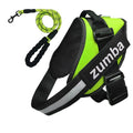 Personalized Dog Harness and Leash with Name and Phone Number - Velora Luxury Fashion